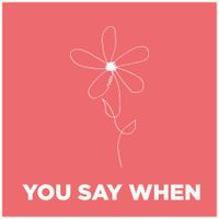 As December Falls - You Say When