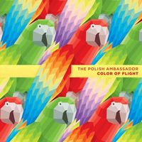 The Polish Ambassador - Color of Flight