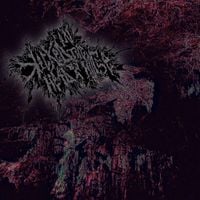 Kicked In The Head By A Horse - W55.12XA