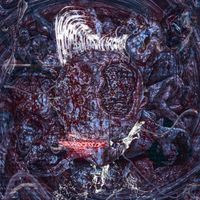 Whatsdysmorphia - the process of&hellip;