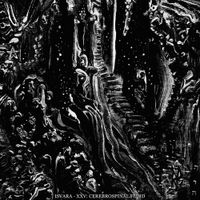 Isvara - XXV: Cerebrospinal Fluid