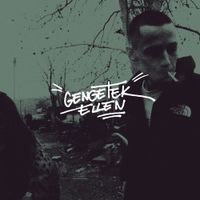 Pog&aacute;ny Indul&oacute; - Gengetek ellen
