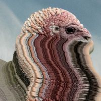 Holy Fuck - Bird Brains
