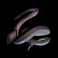 Little Snake - MENTAL WEALTH
