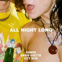 David Guetta - All Night Long