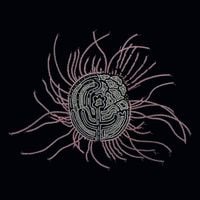 Ka Baird - Bearings: Soundtracks For The Bardos