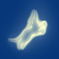 Bullion - Rare