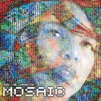 Terri Lyne Carrington - The Mosaic Project