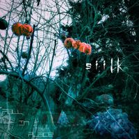 Siilk - Fall in place