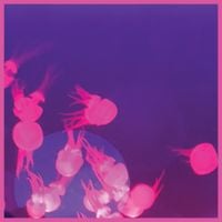 Mall Grab & Nite Fleit - Moogie