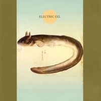 巻上公一 [Koichi Makigami] - Electric Eel