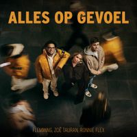 FLEMMING - Alles Op Gevoel
