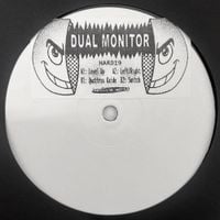 Dual Monitor - HARD19