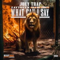 Joey Trap - WHAT CAN I SAY