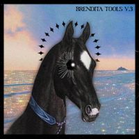 Brenda - Brendita Tools V.3