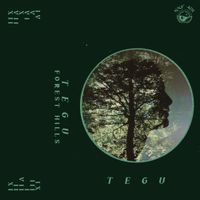 Tegu - Forest Hills