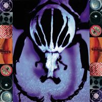 The Age Of Electric - Make a Pest a Pet