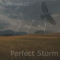 Nighthawk22 - Perfect Storm