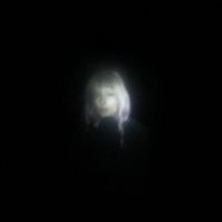 fknsyd - Apparitions