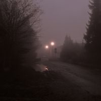 Nowt - Foggy Suburbs