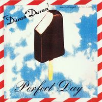 Duran Duran - Perfect Day