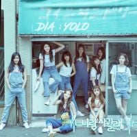 DIA - YOLO