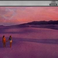 Vektroid - Polytravellers