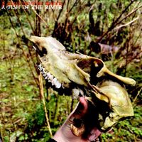 A Fish In The River - Forest God