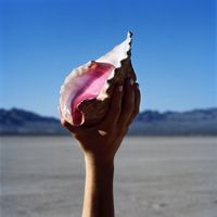 The Killers - Run For Cover