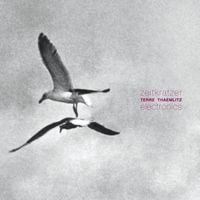 Zeitkratzer & Terre Thaemlitz - Electronics