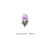 Milk Thistle - Permanent Dream