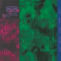 Nine Inch Nails - "The Perfect Drug" Versions