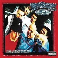 Phunk Junkeez - Injected