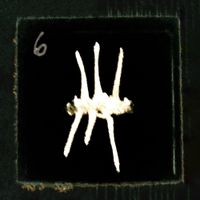 Moxie Pocket - Six