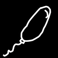 Pov: Indie Is A Genre For Some Reason - Pov: You're A Gay Bacteria