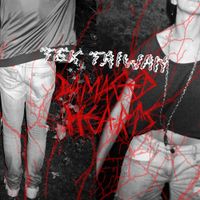 Tex Taiwan - Damaged Hearts