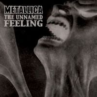 Metallica - The Unnamed Feeling