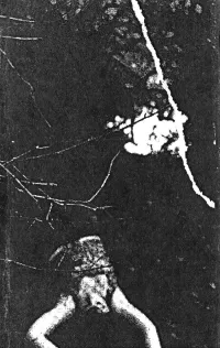 An Innocent Young Throat-Cutter - No One Heard The Scream