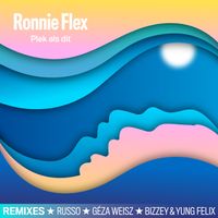Ronnie Flex - Plek Als Dit (Remixes)