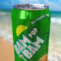 Document One - Bam Bam Pop