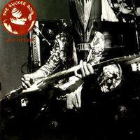 The Slickee Boys - Live at Last