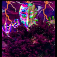 Ichiban - Cthulhu Tapes: Eternal or Abyss
