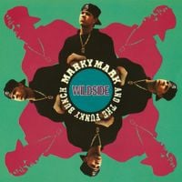 Marky Mark and the Funky Bunch - Wildside
