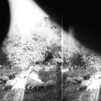 Godspeed You! Black Emperor - Peasantry or 'Light! Inside of Light! (Excerpt)