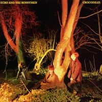 Echo and the Bunnymen - Crocodiles