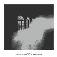 Sfire - Timothy J Fairplay / Willie Burns Remixes