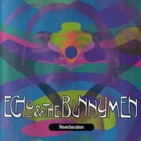 Echo & the Bunnymen - Reverberation