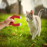 Cat Magnet - Cat Magnet