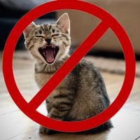 Ultrasonic Pest Repeller - Cat Repellent