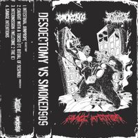 Desoectomy - Savage Intentions